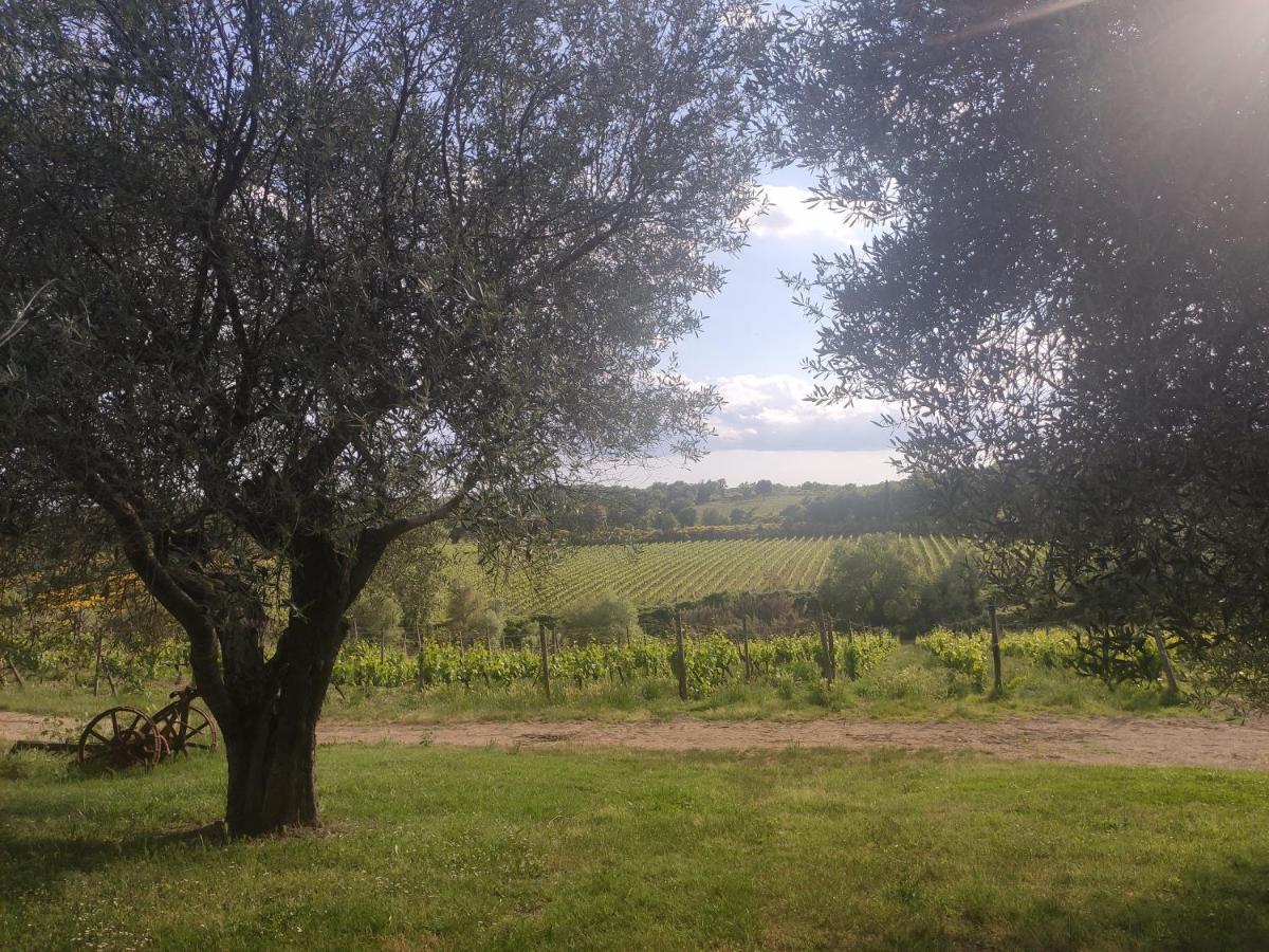 Borgo Villa A Tolli Castelnuovo dellʼAbate Екстериор снимка