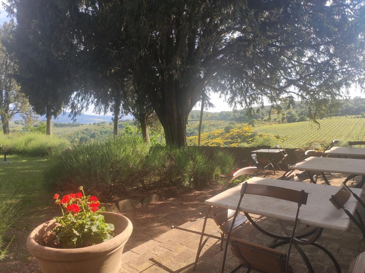 Borgo Villa A Tolli Castelnuovo dellʼAbate Екстериор снимка