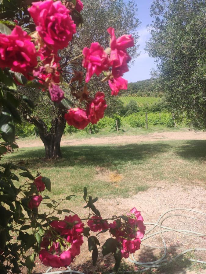 Borgo Villa A Tolli Castelnuovo dellʼAbate Екстериор снимка
