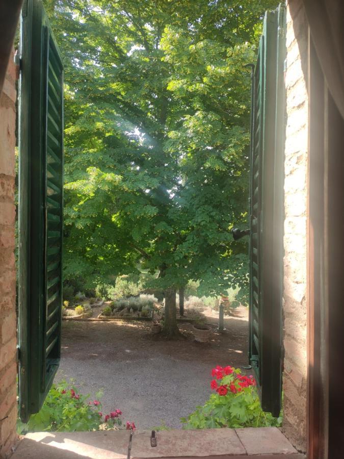 Borgo Villa A Tolli Castelnuovo dellʼAbate Екстериор снимка